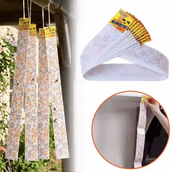 FlyTraps, vabzdžių gaudyklė