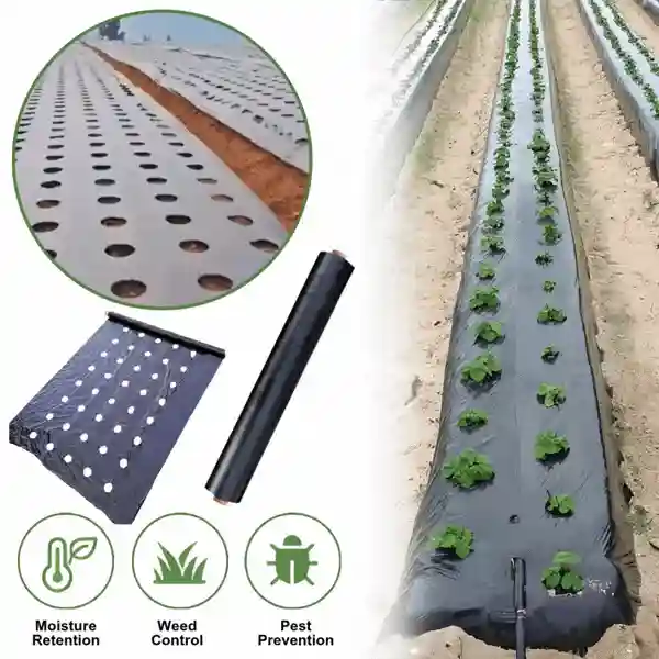 Sodo kilimėlis be piktžolių, Guardy