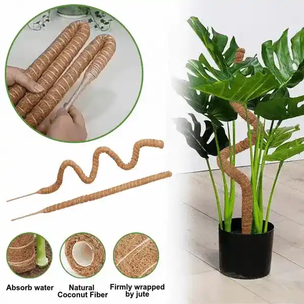 UniquePlant, augalų atraminis stulpas (1+1 NEMOKAMAI )